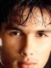 Stephen Shepherd Photo 7