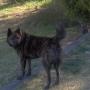 Charles Parra Photo 20