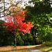 Joyce Lajoie Photo 4