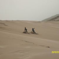 Laura Arias Photo 9