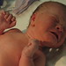Julia Barbour Photo 20