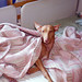 Sara Good Photo 11