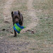 Larry Justice Photo 11