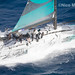 Nico Martinez Photo 8
