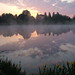 Dawn Trout Photo 19