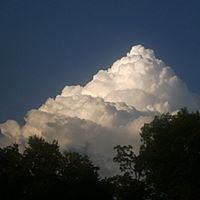 Judy Mccrary Photo 20