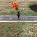 Howard Graves Photo 28