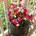 Lavonne Rose Photo 8