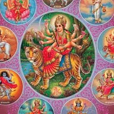Rajeshree Patel Photo 7