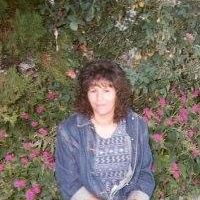 Robin Sherman Photo 46