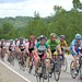 Lynn Barrett Photo 36