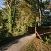 Suzanne Sweeney Photo 16
