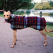 Margaret Sherlock Photo 17