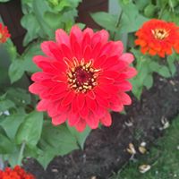 Amy Mcintire Photo 7
