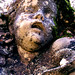 Jane Stone Photo 24