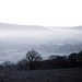 David Matlock Photo 29
