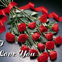 Asif Mohammed Photo 33