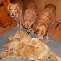 Sharon Cavanaugh Photo 10