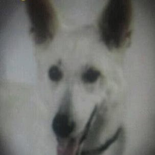 Cathy Alligood Photo 1