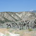 Joshua Gorman Photo 19
