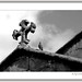 Gilberto Paz Photo 5