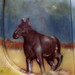 Allan Svensson Photo 7