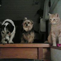 Edith Peters Photo 12