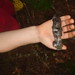 Ann Horning Photo 9