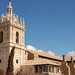 Hipolito Torres Photo 9
