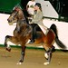 Lindsey Ward Photo 23