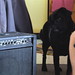Ruby Heard Photo 11