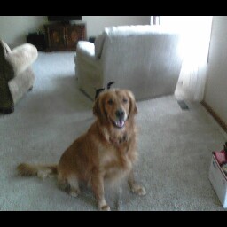 Carol Heckel Photo 9
