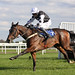 Jamie Ryals Photo 9