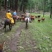 Larry Fleener Photo 7