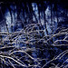 Laura Shiver Photo 18