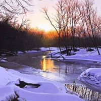 Elizabeth Dowd Photo 25