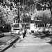 Lee Livingston Photo 23