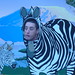 Josh Lehman Photo 18