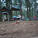 Robin Roden Photo 10