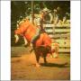 Stephen Ring Photo 24