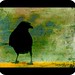 Jenny Crow Photo 23