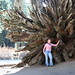 Heather Grove Photo 21