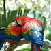 Marilyn Irvin Photo 25