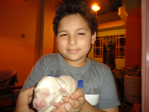 Matthew Suarez Photo 37