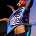 Steve Armstrong Photo 33