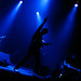 Nicholas Mccarthy Photo 28