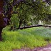 Dena Meadows Photo 8