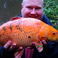 Phil Newman Photo 38