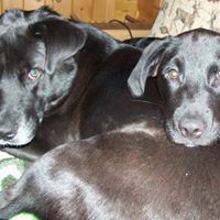 Nancy Proffitt Photo 9