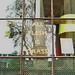 Rae Wisdom Photo 10